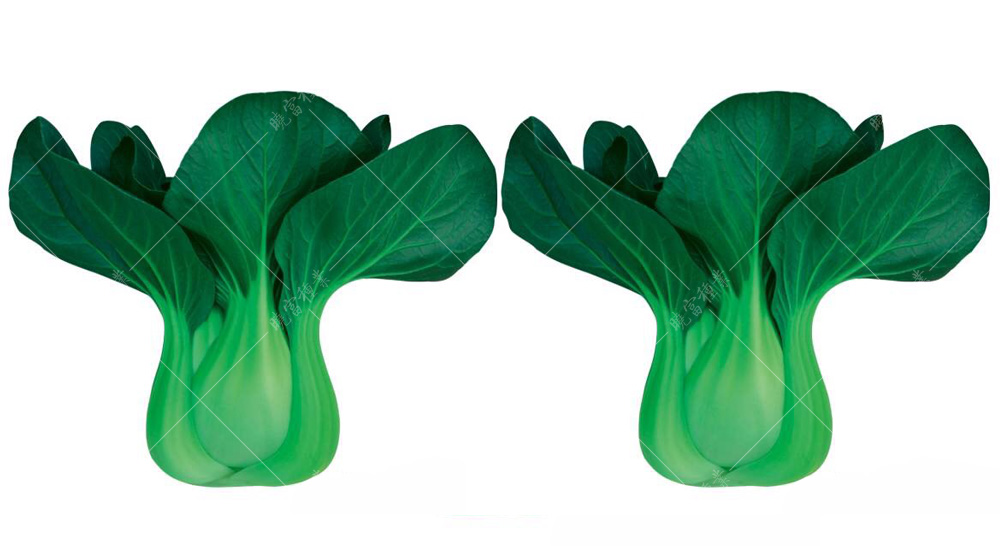 1557814665203406.jpg 珍品·冬.jpg