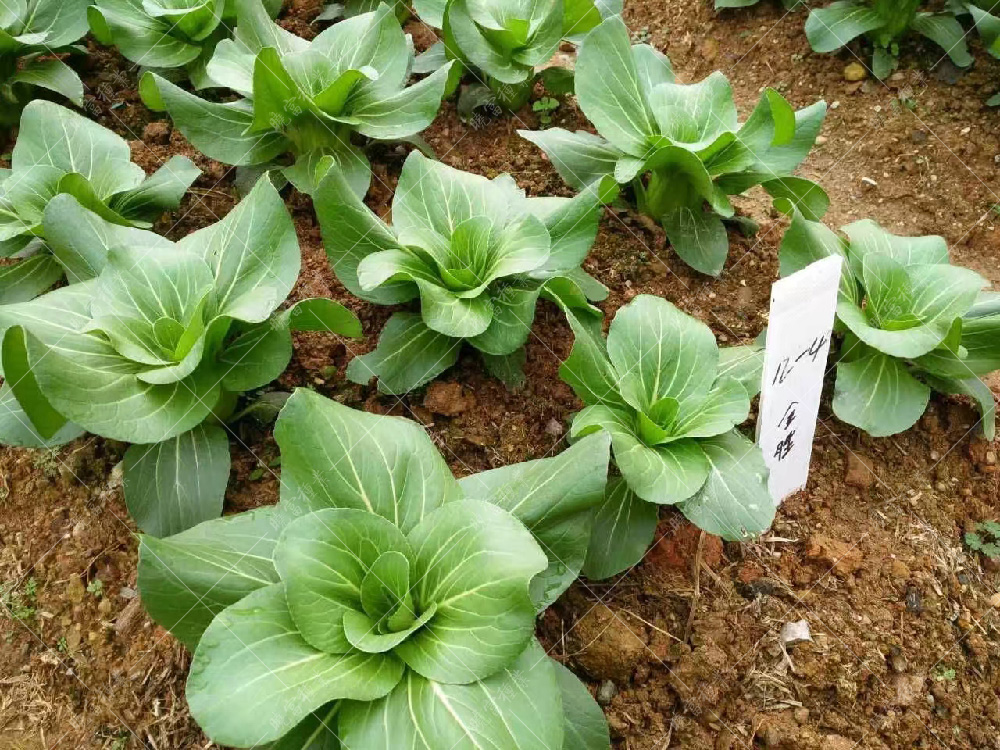 1557817763878137.jpg 微信圖片_20171113163210.jpg