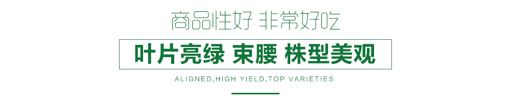 1557820884247075.jpg 詳情頁(yè)12.jpg