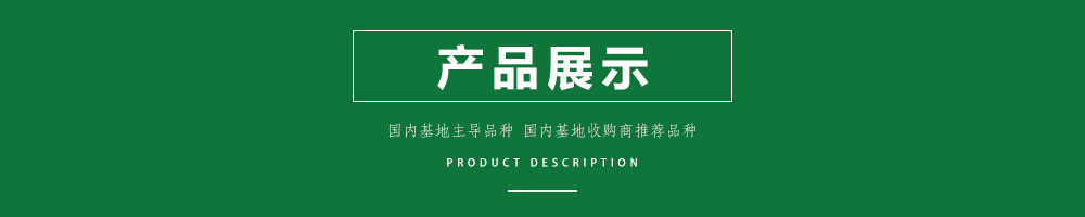 1557970879957109.jpg 00新產(chǎn)品.jpg