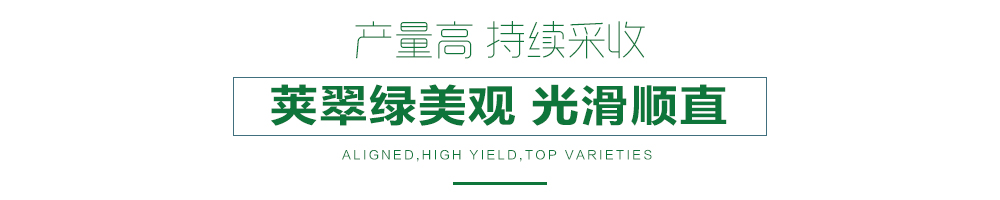 1558057942489552.jpg 詳情頁(yè)24.jpg