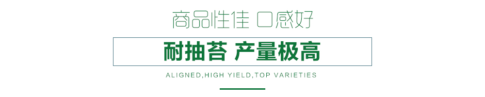 1558591643245662.jpg 詳情頁6.jpg