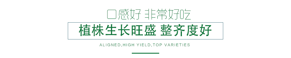 1585789674318577.jpg 07.jpg