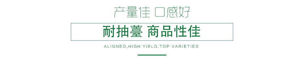 1585789782183126.jpg 03.jpg