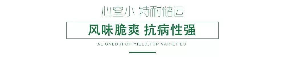 1585992690292193.jpg 03.jpg