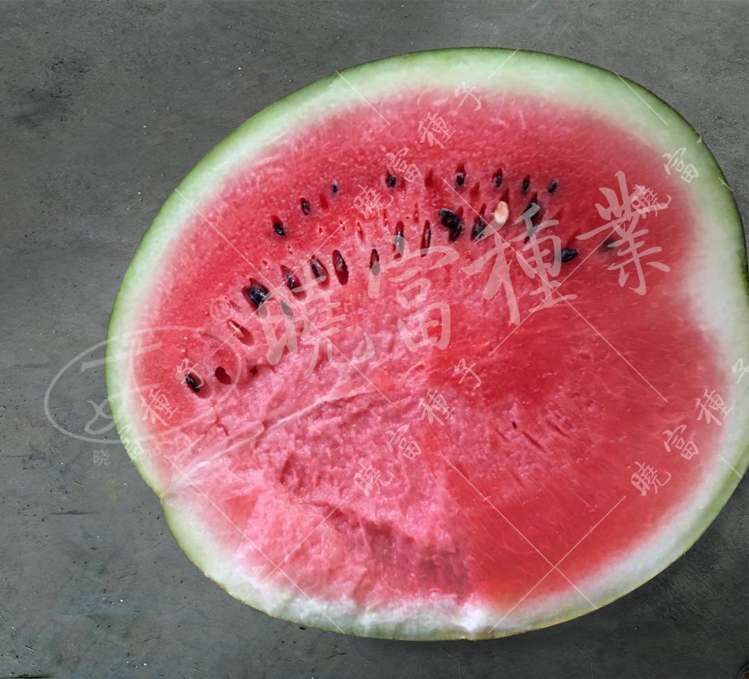 1585993744853777.jpg 04.jpg