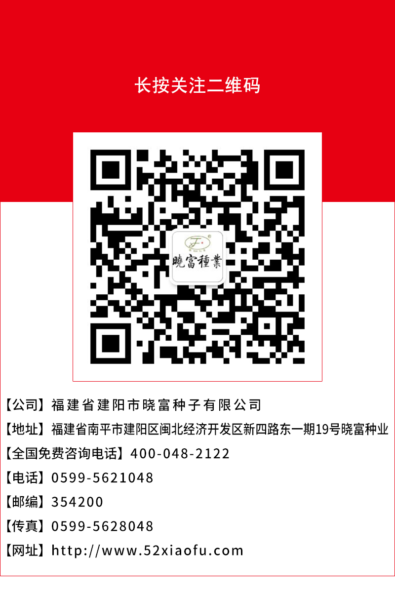 1600502556839725.jpg 頁底.jpg